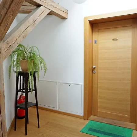 ❤️ Ljubljana's Heart Apartma Ljubljana