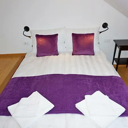 ❤️ Ljubljana's Heart Apartma Ljubljana